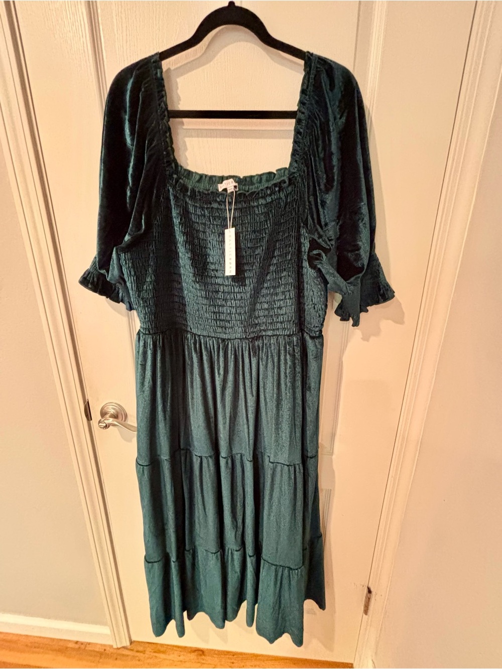 Baltic Born Dark Green Vivaldi Smocked Velvet Midi Dress (Size 2X)